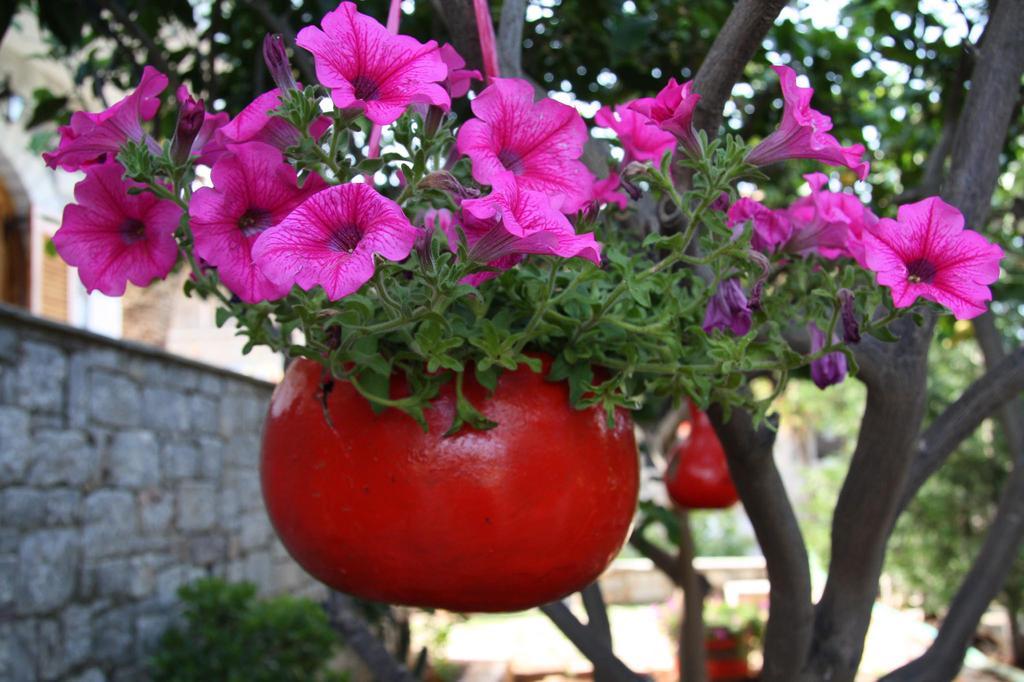 Anna Maria Studios Agios Nikolaos  Ngoại thất bức ảnh